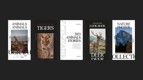 Album Instagram Stories Stock After Effects
