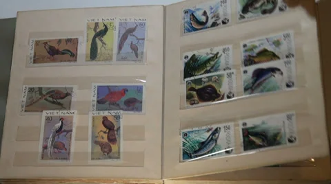 The album with marks Video stock 32840664