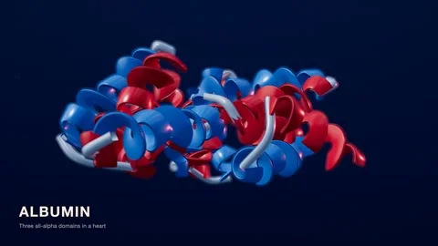 Albumin protein structure red blue medical technology loop 動画素材 343737133