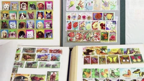Albums of postage stamps with theme animals and plants Stock Footage