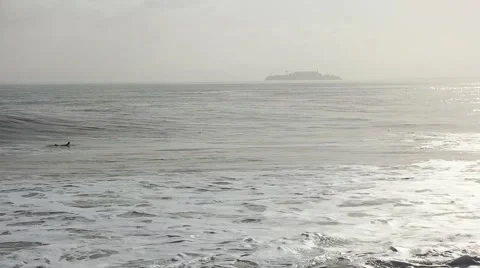 Alcatraz and surfer Stock Footage 49789413