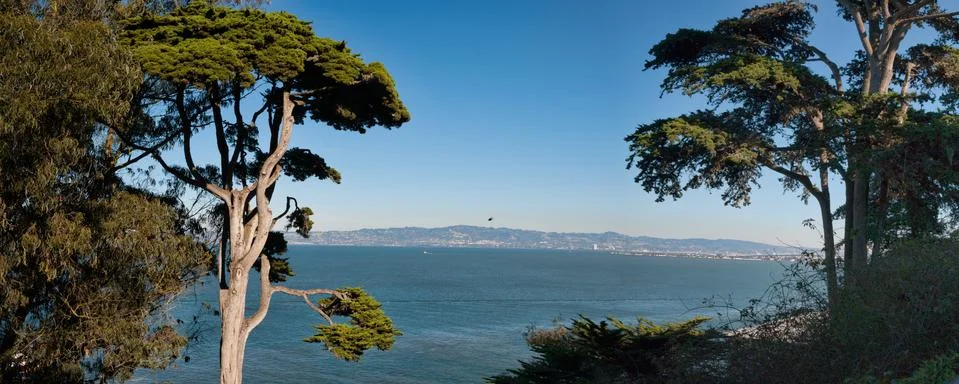 Alcatraz Stock Photos