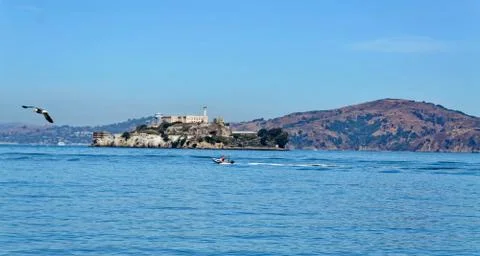 Alcatraz Stock Photos