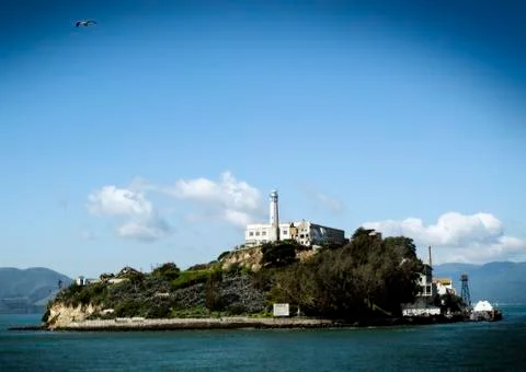 Alcatraz Stock Photos
