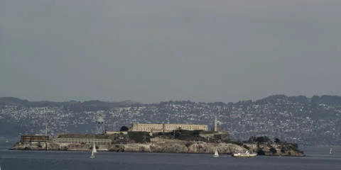 Alcatrez Stock Footage 45837399