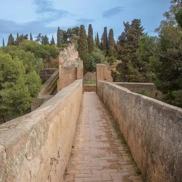 Alcazar of Malaga Stock Illustration
