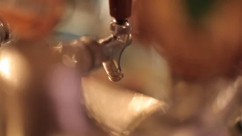 Alcohol - Beer Pour Stock Footage 72001372