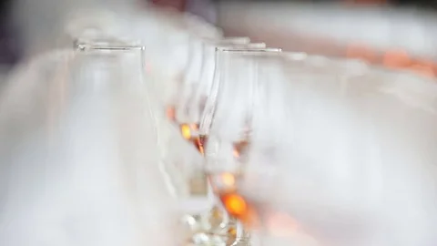 Alcohol glasses lined up in a row Stock Footage 69959928