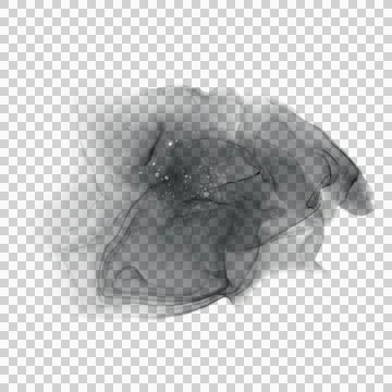 Alcohol Ink Shape Foto stock