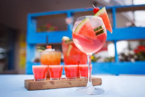 Alcoholic drinks with fresh fruit Stock Photos