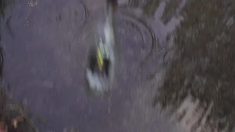 Alcoholism problem concept. Empty bottle of liquor thrown to flooded flor in Stock Footage 168620428