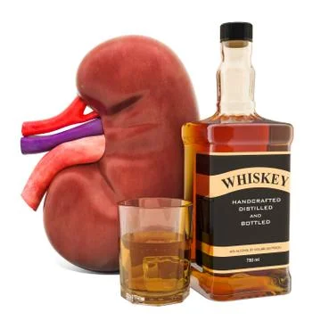 Alcohol's Impact on Kidney Function concept. Human kidney with alcohol drink. Illustrazione stock