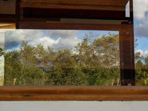An alder forest is reflected in a window at the afternoon, near the town of A Stock Photos