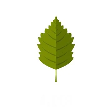 Alder leaf icon, flat style Stock Illustration