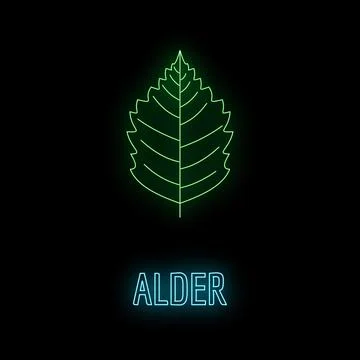 Alder leaf neon glow on black background Stock Illustration