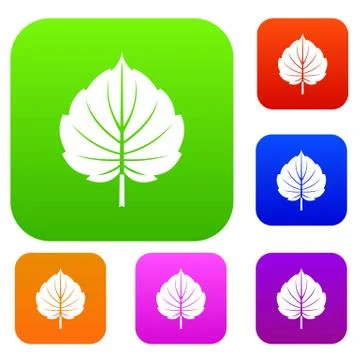 Alder leaf set color collection Stock Illustration