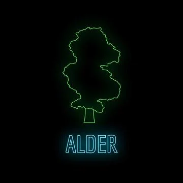 Alder tree outline glowing with neon light Stock Illustration