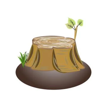 Alder tree stump Stockillustratie