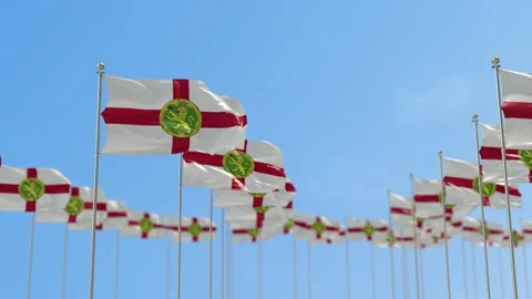 Alderley  Row Of Flags Animation Stock-Footage 148614064