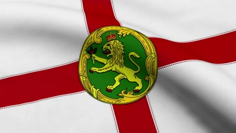 Alderney Flag Loop Stock Footage 241175336
