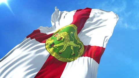 Alderney Flag Low Angle View Stock Footage 295683035