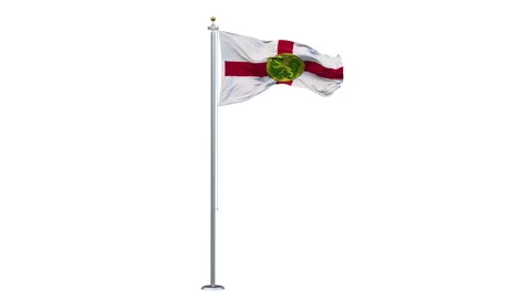 The Alderney flag is waving. Stock Footage 301682786