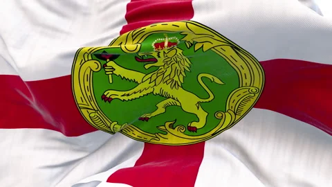 The Alderney flag is waving. Stock-Footage 301682882