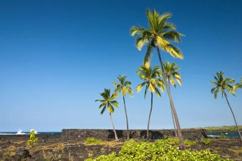 Ale'ale'a Stock Photos