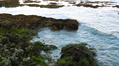 Alegria Beach 04 (Close Up) Stock Footage 46731215