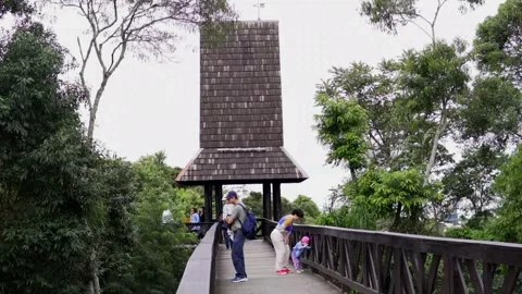 Aleman Forest viewpoint in Curitiba Stock Footage 276445465