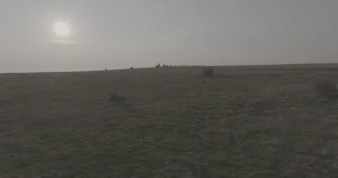 Ales Stenar (Drone)-20-03-25 1782 動画素材 310002640