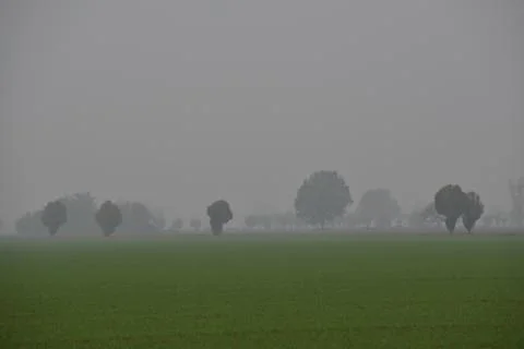 Alessandria Stock Photos