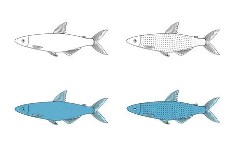  Alestes fish doodle vector illustrator isolated on white background. Ales... Stock Photos