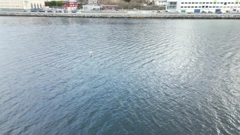 Alesund Norway 動画素材 289735038
