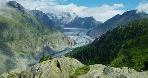 Aletsch glacier and protected forest - Shot on RED at 5K Stock Footage 79317051