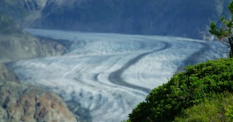 Aletsch glacier blurred in background  - Shot on RED at 5K Stock Footage 79316927