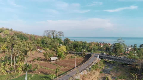 Alex Drone shot of small road with bridge in african coastline. Beautiful Video stock 161433110