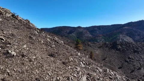 Alexander Mountain Fire Devastation 02 | Loveland | Colorado | 4K Drone Footage Stock Footage 291551128