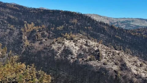 Alexander Mountain Fire Devastation 05 | Loveland | Colorado | 4K Drone Footage Video stock 291551344