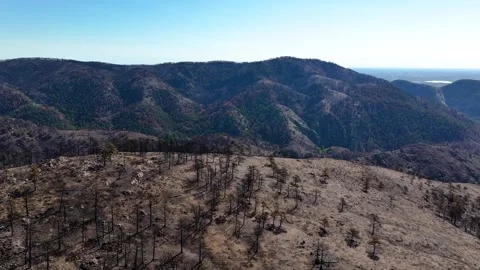 Alexander Mountain Fire Devastation 06 | Loveland | Colorado | 4K Drone Footage Stock Footage 291550925