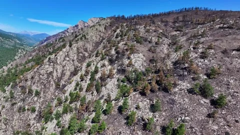 Alexander Mountain Fire Palisade Peak 02 | Loveland Colorado | 4K Drone Footage Stock-Footage 291551003