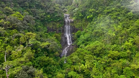 Alexandra Falls Cascading Through Lush Green Rainfores697 D Stock Footage 310309171