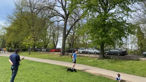 Alexandra Gardens in Windsor Stock Footage 182166551