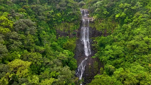 Alexandra waterfall Video stock 311389509