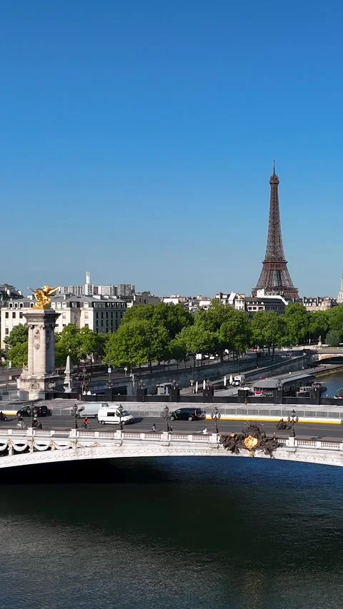 Alexandre Iii Bridge At Paris Ile De France In France. Stock Footage 318330100