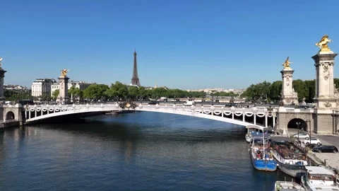 Alexandre Iii Bridge At Paris In Ile De France France. Stock-Footage 342208909