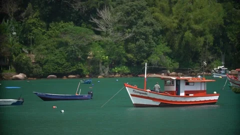 ALEXANDRE NOGUEIRA Stock Footage 131587999