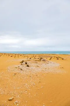 Alexandria Dune Field Shell Middens, archeological heritage site, South Afric Fotos de archivo
