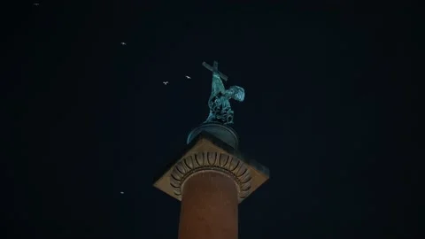 Alexandrian Column on Palace Square, at night, a flock of birds flies over the Stock Footage 224994728