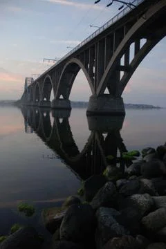 Alexandrine's Reflection Stock Photos